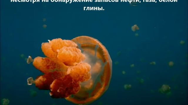 T88DT Остров Корор Палау. С сайта dxnews.com смотреть онлайн