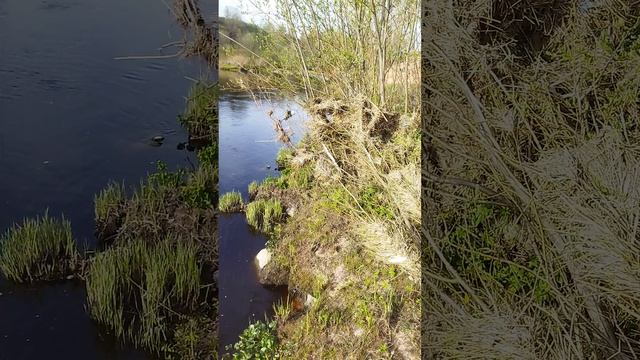 09.05.2023 - счастье есть смотреть онлайн