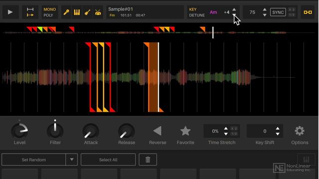 13. Source File & Cue Parameters
