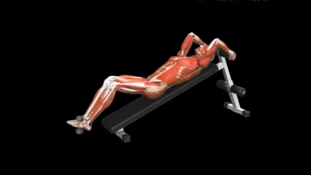 Подъемы ног и бедер на наклонной скамье Incline leg hip raise смотреть онлайн