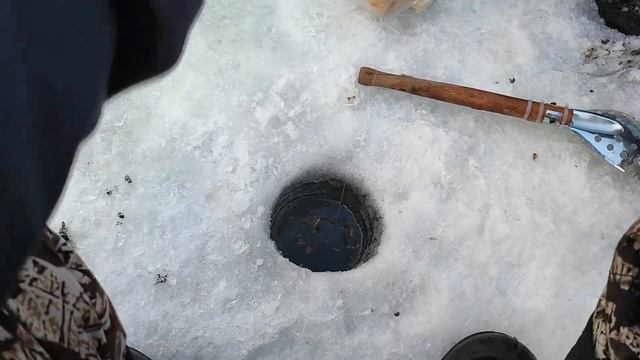 Глухозимье 2023. ЛОМАЮТ МОРМЫШКИ. Рыбалка зимняя смотреть онлайн