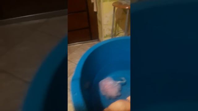 Купаем Беби бон смотреть онлайн