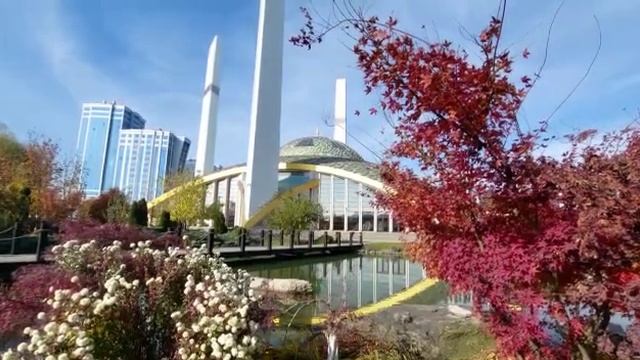 Мечеть имени Аймани Кадыровой Чечня г.Аргун❤️ смотреть онлайн