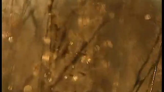 Закон Божий. Беседа о 3 части Символа Веры смотреть онлайн
