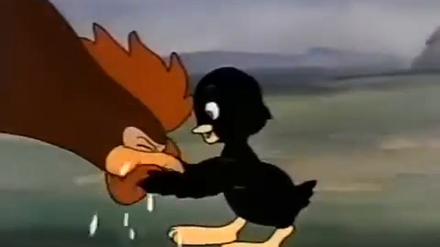 Cock chicken small baby's Duck baby Cartoon 2020 Tom and jerry смотреть онлайн