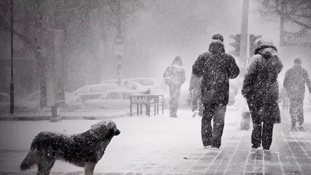 «Цена» Поэт Кульчиновский Владислав смотреть онлайн