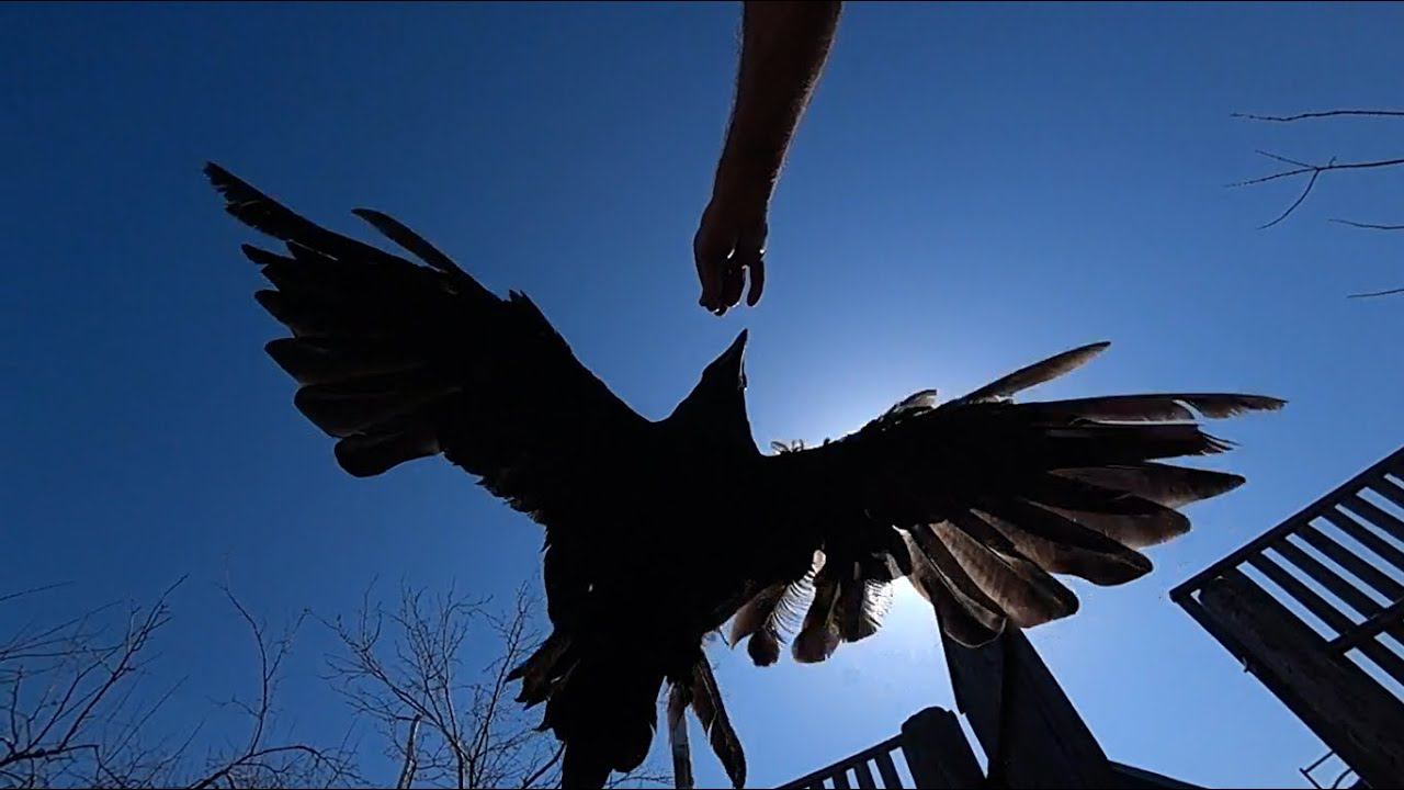 Памяти Клары Муниной. смотреть онлайн