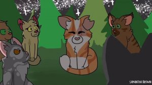 ~//ТОП 10 МОИХ САМЫХ ЛЮБИМЫХ КОТОВ-ВОИТЕЛЕЙ//~