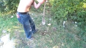 ПОХОД ЗА ГРИБАМИ В СУХОЙ ЛЕС С БРИГАДОЙ \ ГОТОВИМ КАРТОШКУ НА КВАДРАТЕ