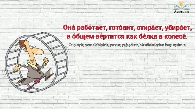 Rus Dilinde Frazeoloji Birlesmeler. Вертеться как белка в колесе.