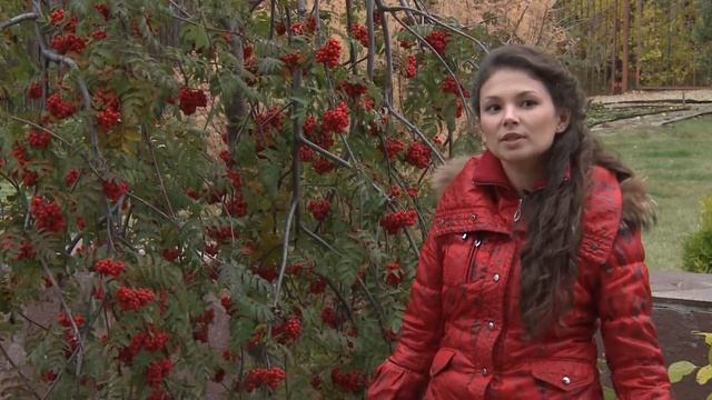 Осенний интерес в саду смотреть онлайн