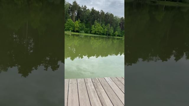 🤩Доброе утро с HARO смотреть онлайн