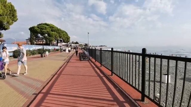 ЖП или домик в Сочи? | Что такое Лох Зонтичный? | Прогулки по Имеретинке смотреть онлайн