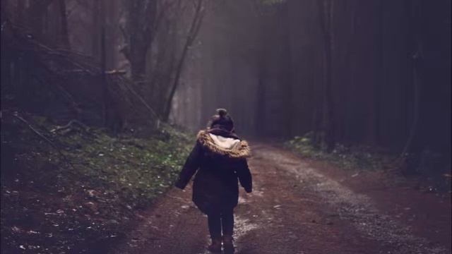 Soul Of Zoo - Walking In The Forest смотреть онлайн