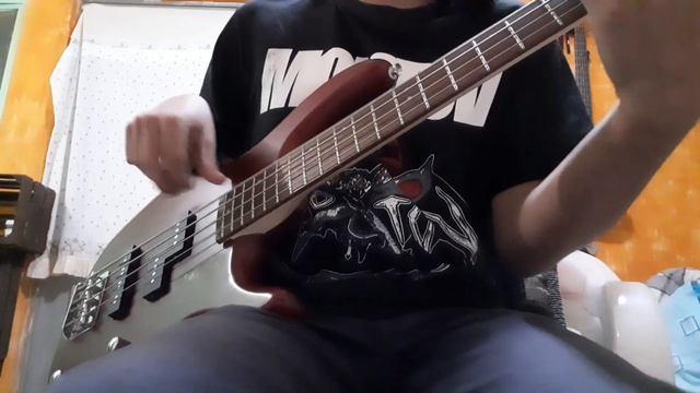 Cort Action PJ Bass Soundtest!