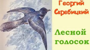Георгий Скребицкий. Лесной голосок. Аудиорассказ