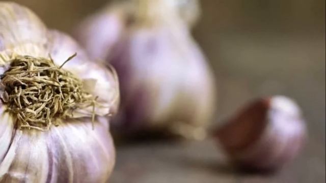 ЗАПИШИ ЭТО! Как и когда выкапывать чеснок, убирать урожай и хранить зимой смотреть онлайн