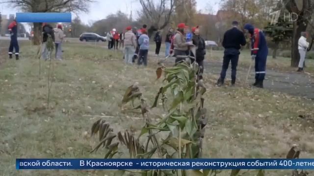 5 ноября 2023 г.