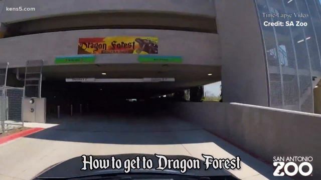 Dragons take over San Antonio Zoo! смотреть онлайн
