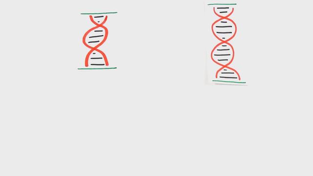 Наука о депрессии (The Science Of Depression)