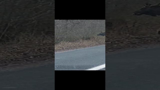 Калининград смотреть онлайн