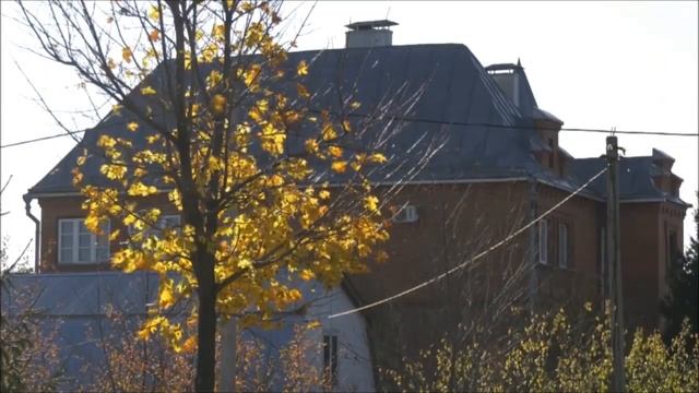 Золотые дома Черноземья