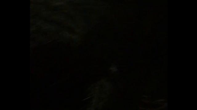 Астрахань 2017 Выезд на остров смотреть онлайн