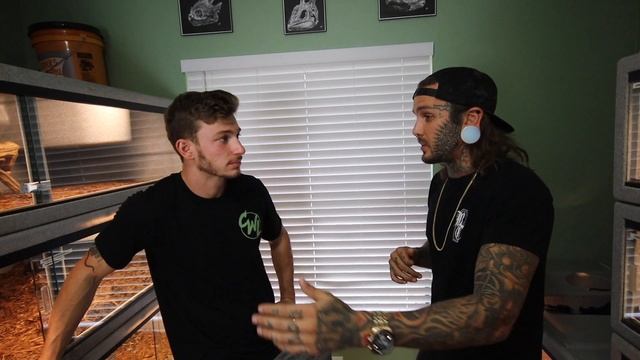 SURVIVING A KING COBRA BITE! (Interview FT. TYLER NOLAN) смотреть онлайн