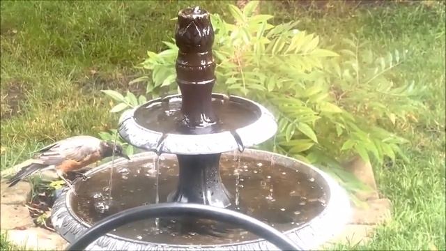 Птицы прилетели смотреть онлайн