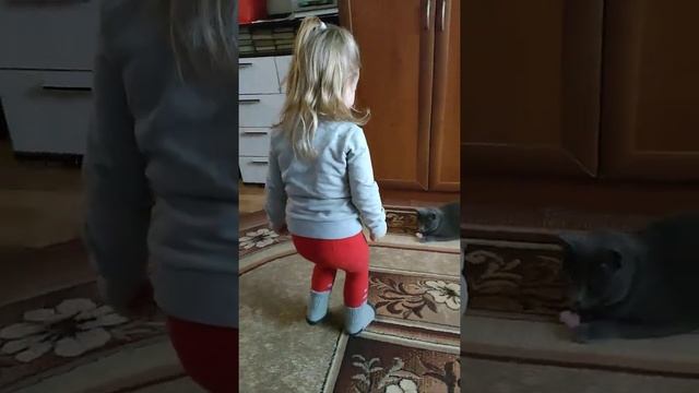 Поцарапала кошка, хотя до этого играли очень хорошо. смотреть онлайн