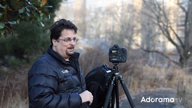 Hyperfocal Distance: Ask David Bergman смотреть онлайн