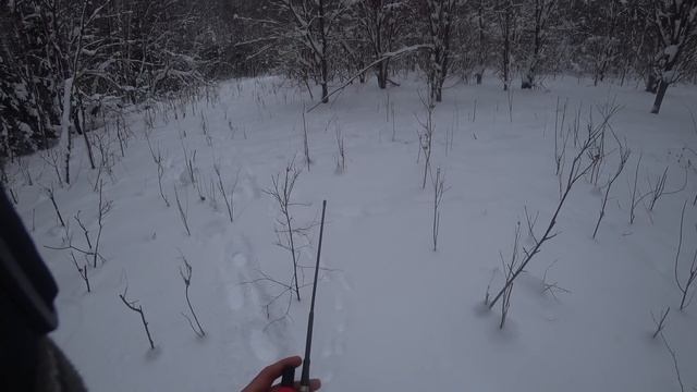 Новогодняя охота на зайца с русскими пегими гончими смотреть онлайн