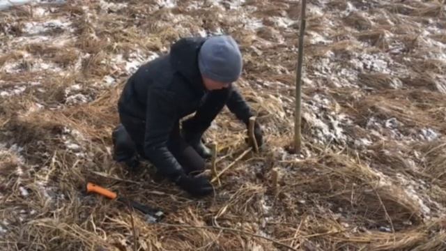 Делаю ловушку петлю!!! смотреть онлайн