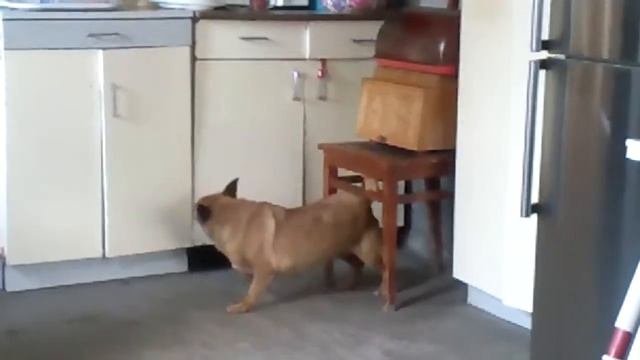 люблю индийские танцы))) смотреть онлайн