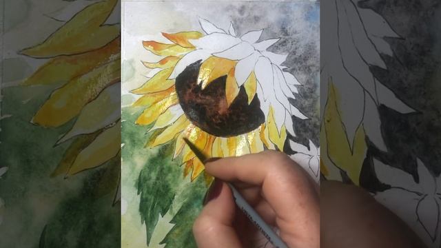Мастер-класс по рисованию «Подсолнухи акварелью». смотреть онлайн