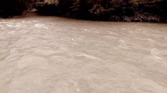 Zip Line Зиплайн в Абхазии #Абхазия #Abkhazia