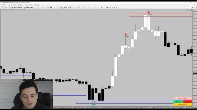 ТЕХНИЧЕСКИЙ АНАЛИЗ.Какие ПАТТЕРНЫ (ФИГУРЫ) работают на ФОРЕКС и ФЬЮЧЕРСАХ.ИНДИКАТОРЫ ДЛЯ ТОРГОВЛИ.
