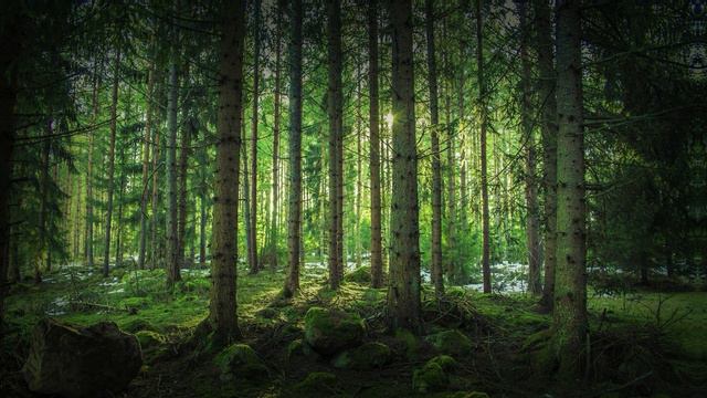 Истории из жизни 📕 История о том, как Глеб вынужден был взрослеть раньше времени 📘 Жизненные истори смотреть онлайн