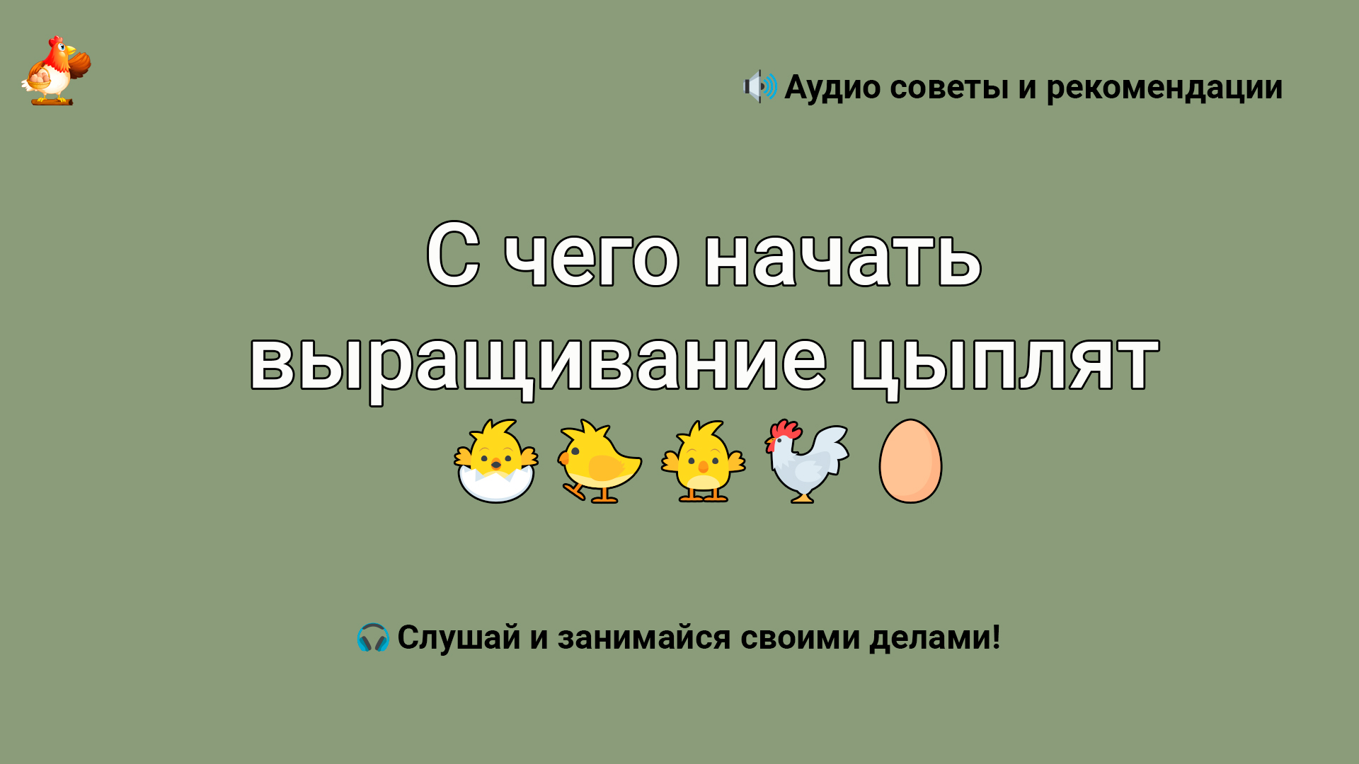 С чего начать выращивание цыплят в домашних условиях для начинающих с нуля смотреть онлайн