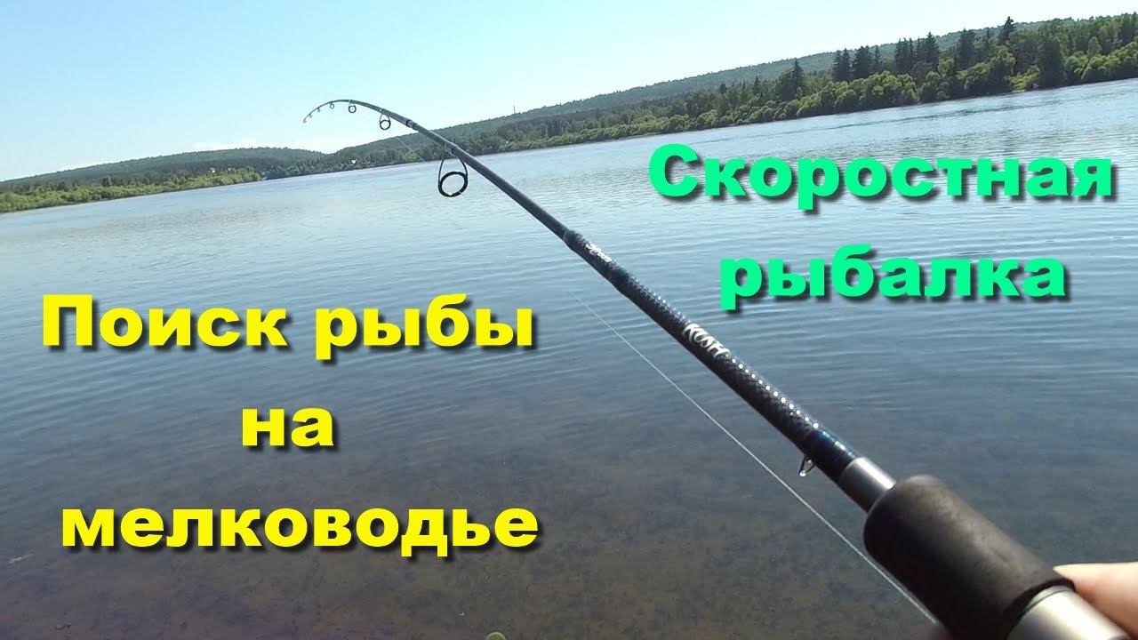 Поиск рыбы на мелководье. Скоростная рыбалка