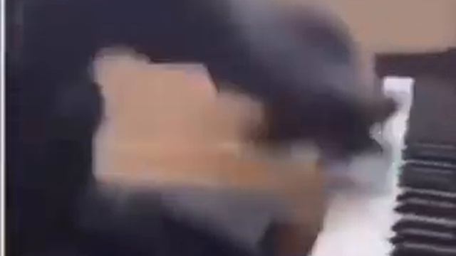 саша важенин за компьютером смотреть онлайн