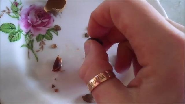 АСМР И МУКБАНГ: ФРУКТ ТАМАРИНД