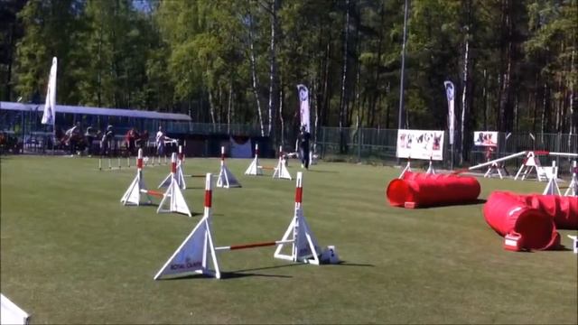 Бублик аджилити смотреть онлайн