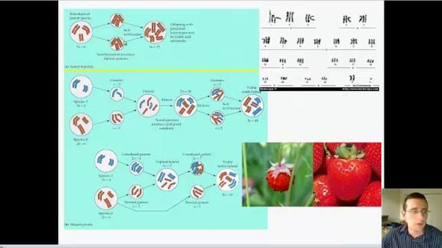 Non-Disjunction - Errors that Lead to Disorders & Variation смотреть онлайн