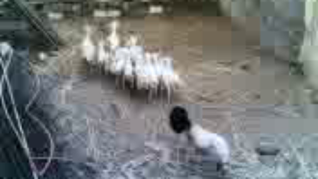 Ужастик:))))))))))))))) смотреть онлайн