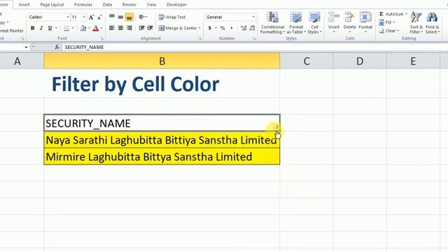 Filter Cells based on their Cell Color in Microsoft Excel смотреть онлайн