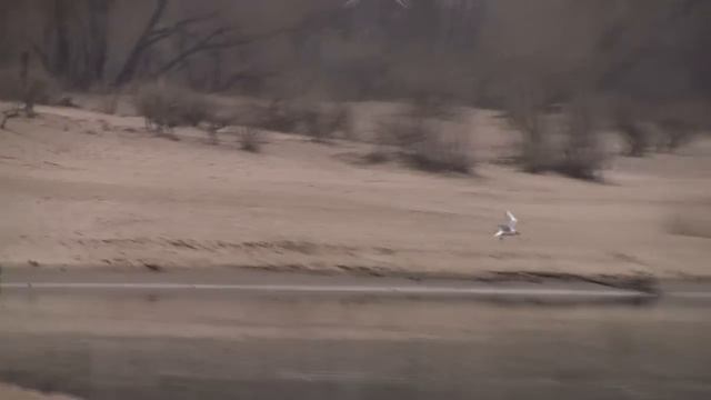 Где рыба? Где она зимует? Пустая река! КАРМАРАНЫ и те свалили с реки с голода 1 МАРТА г.Запорожье. смотреть онлайн