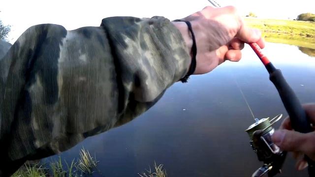 Щука окунь рыбалка на Днепре смотреть онлайн