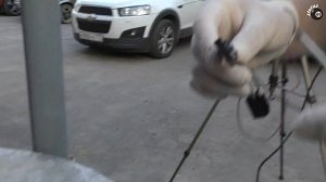 Снимаем топливный насос Ниссан Альмера 2014 / Бензонасос Ниссан Альмера / Где находится бензонасос