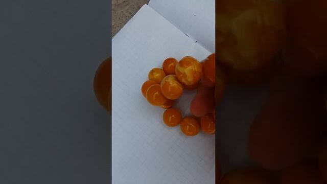 Какие янтарные бусы дорогие, как определить янтарь смотреть онлайн